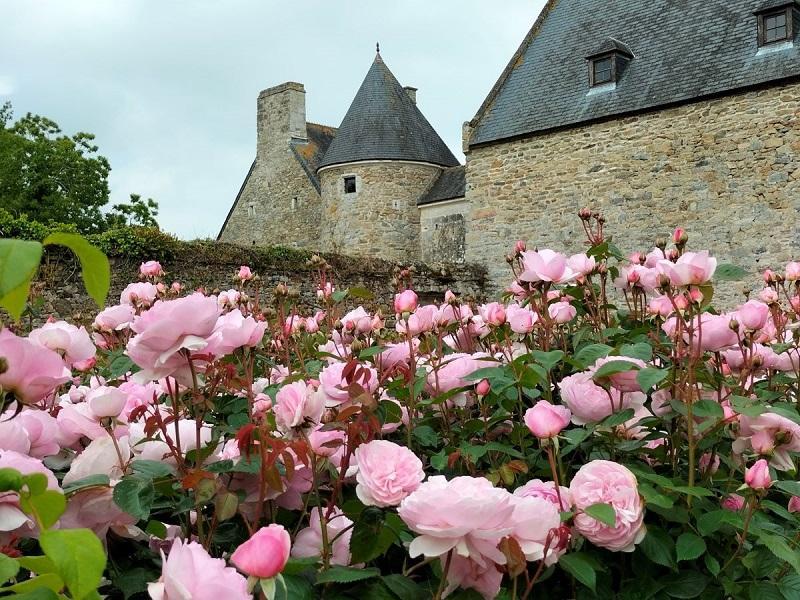 Montfort