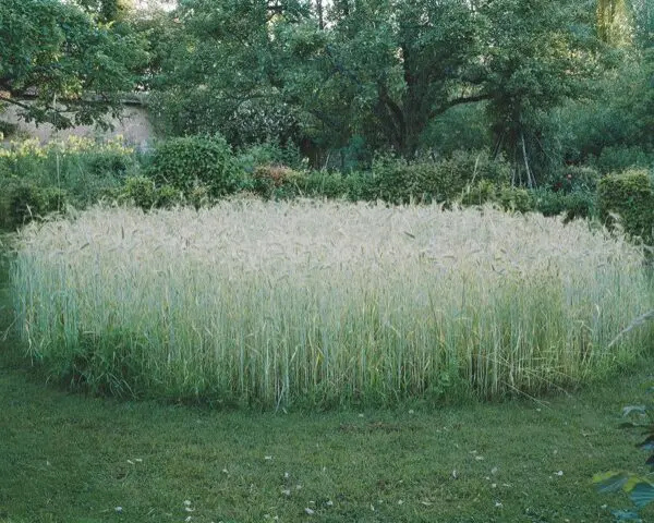 Fabriquer un jardin